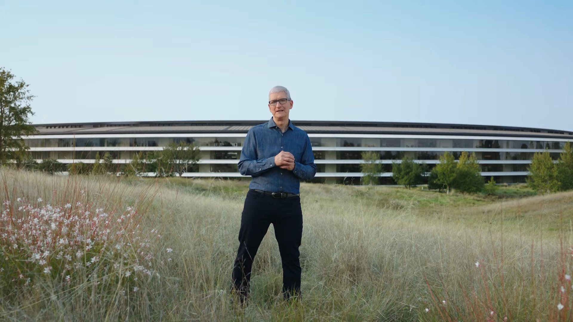 Tim Cook